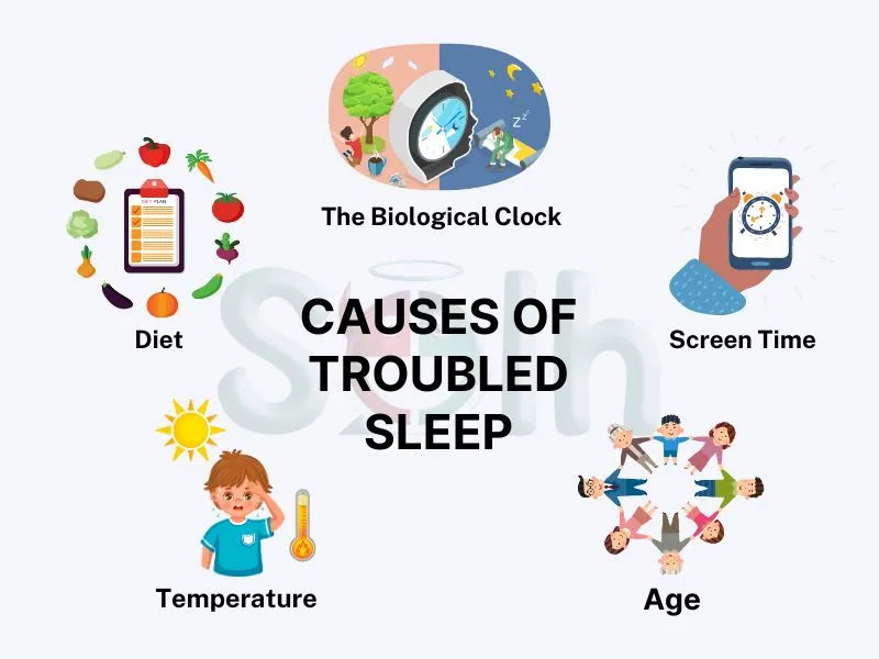Causes of Troubled Sleep