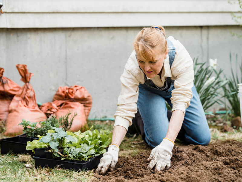 The-Therapeutic-Benefits-of-Gardening-_1_